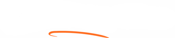 Lost Kiwi Logo White